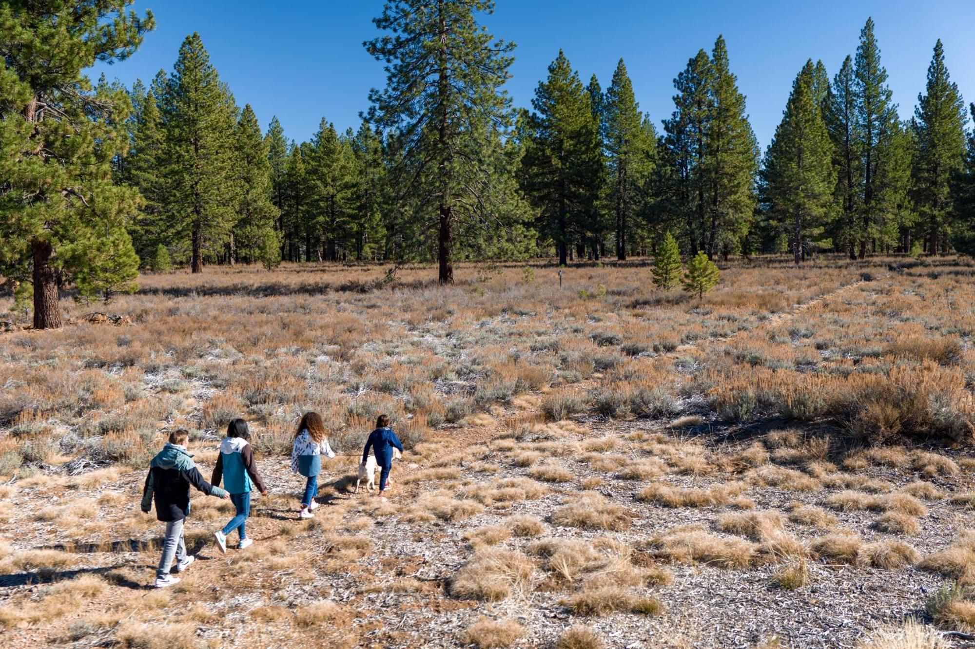The - Golf, Pool, Play - 2-bedroom Holiday home Truckee